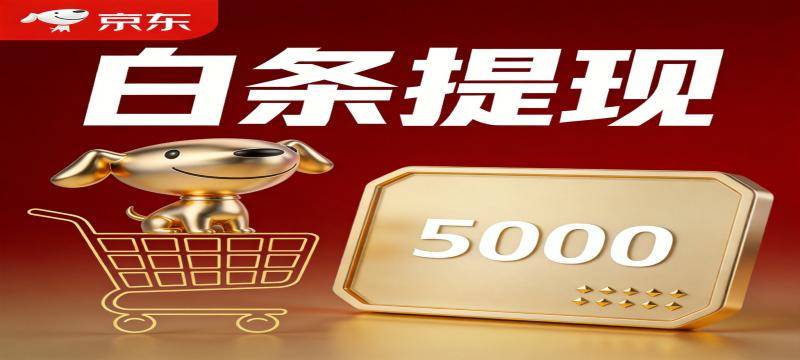 白条提现